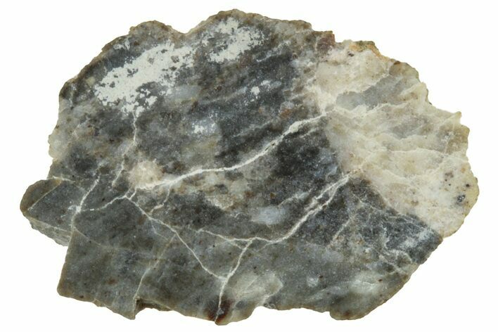 Lunar Meteorite ( g) Section - Laayoune #313362